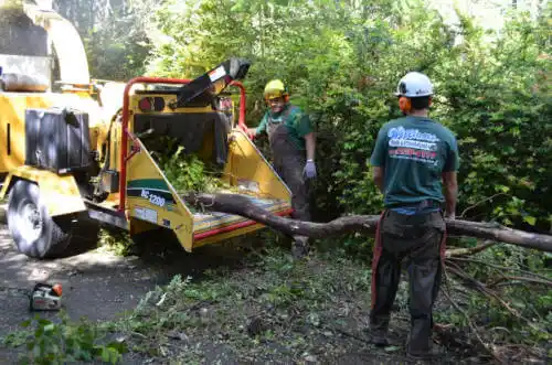 tree services Bethlehem